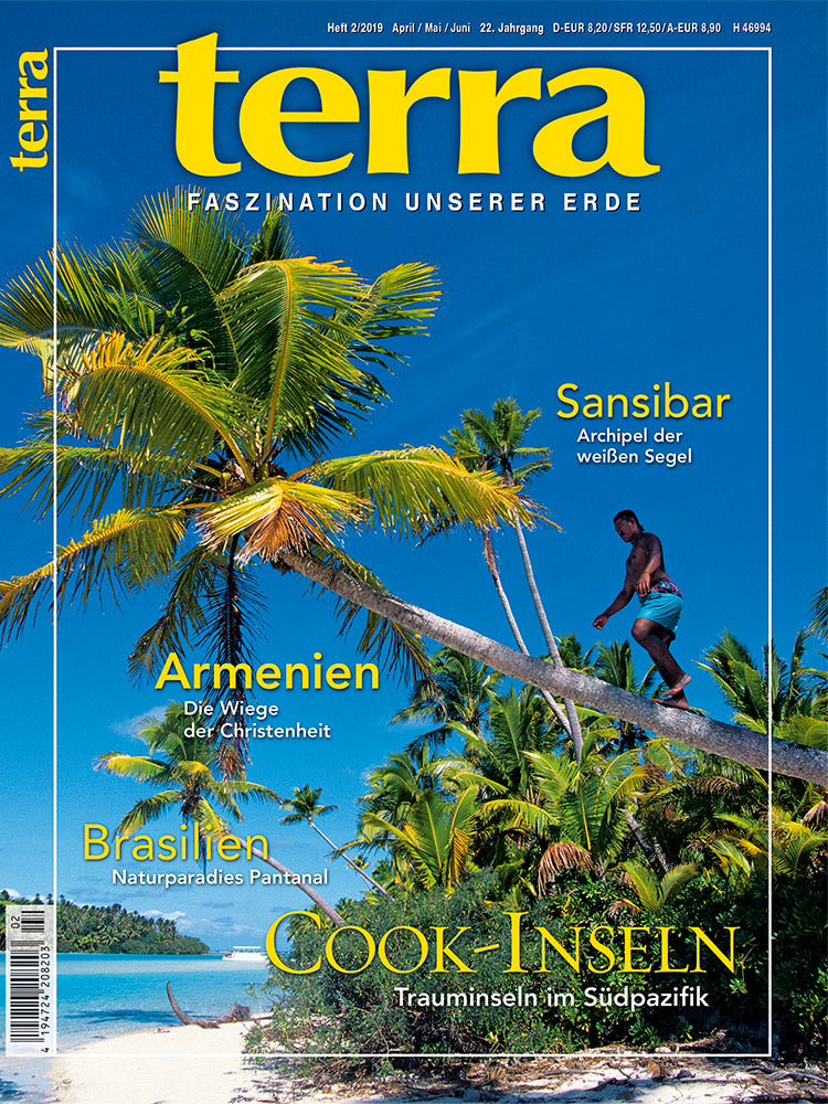 terra 2/2019